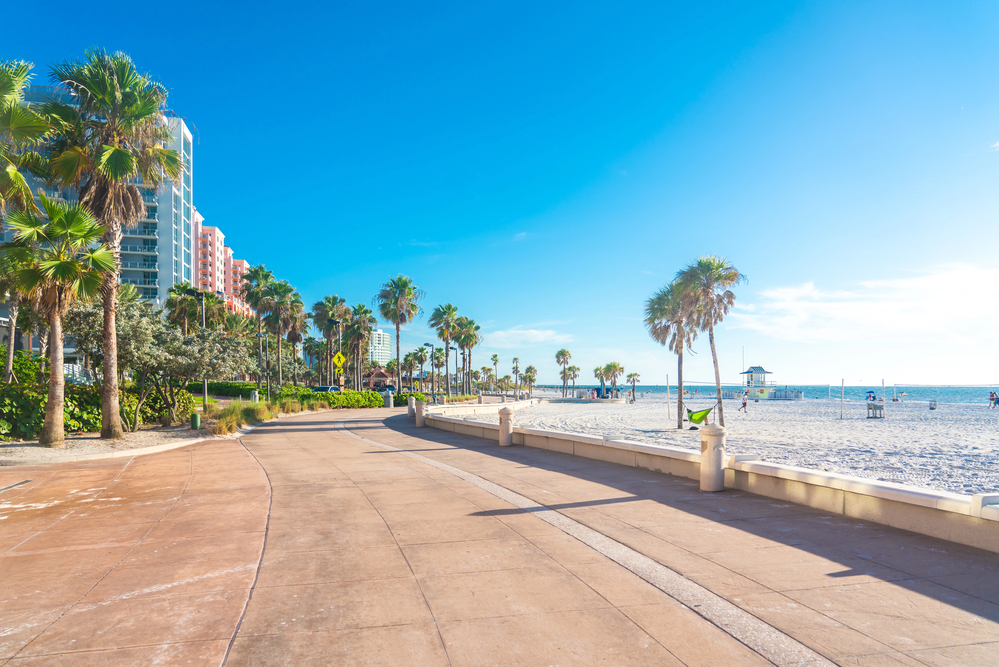 Professional's Guide to Moving to South Florida