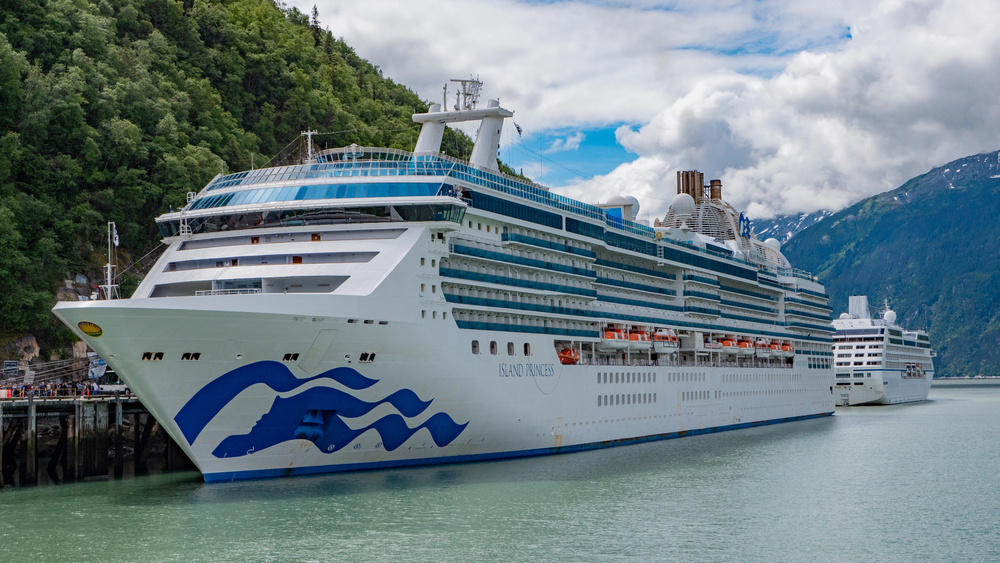 Alaska Cruises to Explore Marine Wildlife