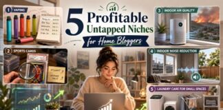 Profitable Untapped Niches for Home Bloggers