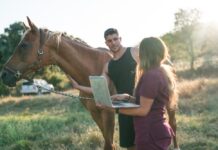 Horse Management Apps for Equestrian Business