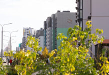 Find Affordable Real Estate Properties