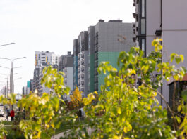 Find Affordable Real Estate Properties