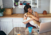 Working From Home With Pets? Build a Routine That Works for Everyone Working From Home With Pets