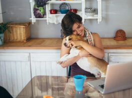 Working From Home With Pets? Build a Routine That Works for Everyone Working From Home With Pets