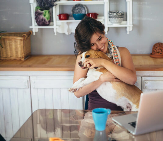 Working From Home With Pets