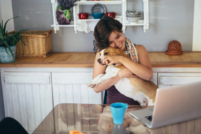 Working From Home With Pets Working From Home With Pets